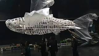Fish Puppet for Wuxi, China
