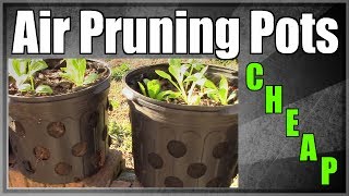 CHEAP Air Pruning Pots