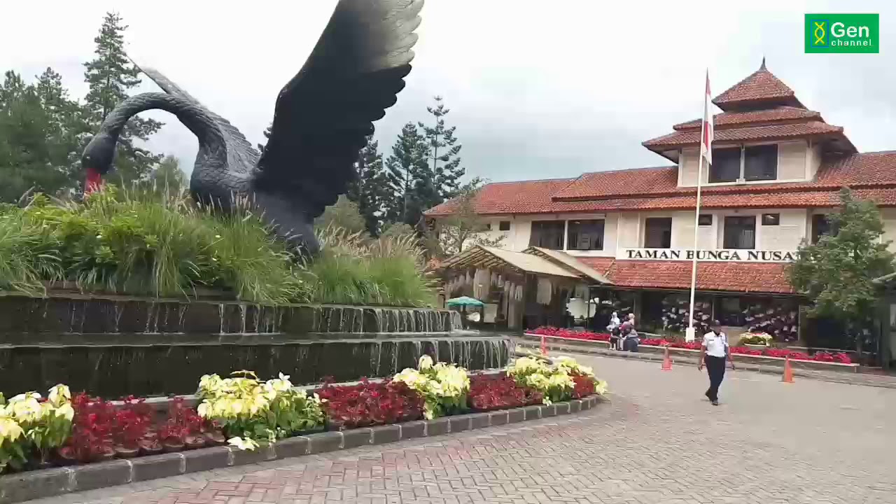 Liburan dulu di Taman Bunga Nusantara Cianjur YouTube