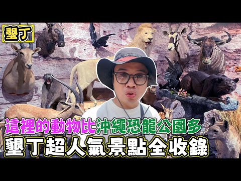 【墾丁超人氣景點全收錄】JUNGLIA沖繩恐龍樂園的動物都沒有這裡多