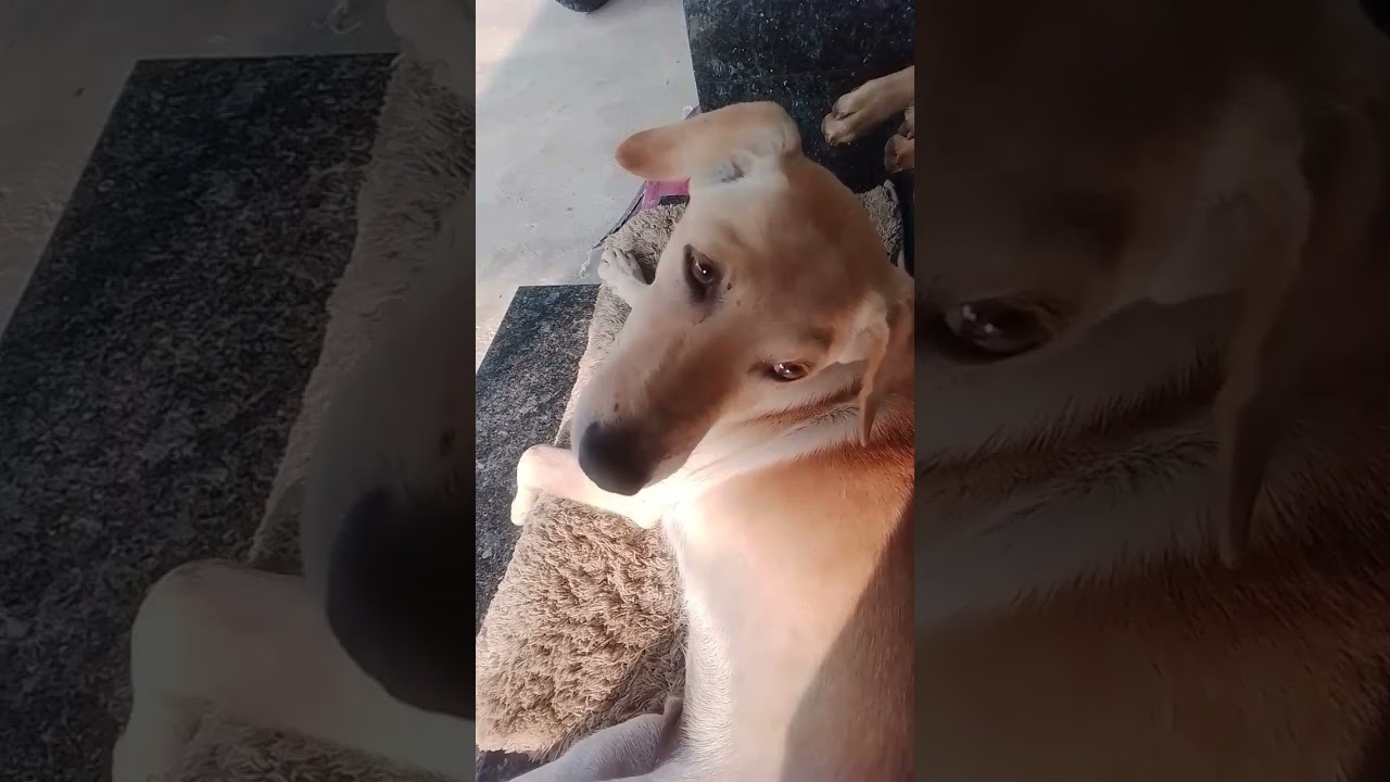 vaa thurakunnath food nu maathram🤣