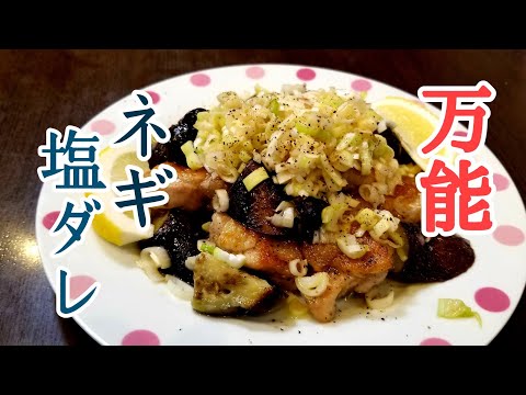 このタレは絶対覚えておいた方がいい！鶏と茄子のサッパリネギソースの作り方！