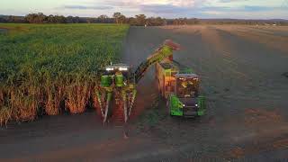 Greensill Farming -  Sugar Cane Harvesting 2019 (ft, John Deere CH570 & Ace Haulouts)