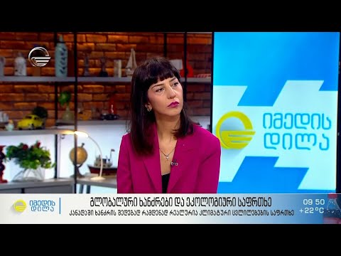 გლობალური ხანძრები და ეკოლოგიური საფრთხე - მაია ცხვარაძე სტუმრად „იმედის დღეში“