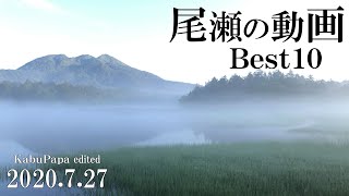 【尾瀬の動画ベスト10】KabuPapaの尾瀬動画 全28本からランキング 1位はあの○○ガール？