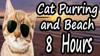 RELAXING SOUND FOR SLEEP  | CAT PURRING AND BEACH  (8H) |  - SONIDO PARA DORMIR | RONRONEO Y PLAYA by Andrés Castel 194 views 2 years ago 8 hours