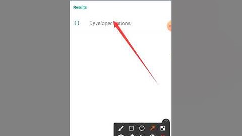 Show Touches and Pointer location mode enable on Android phone