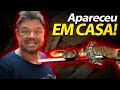 UMA JARARACA ENTROU EM CASA! | A CASA DOS BICHOS