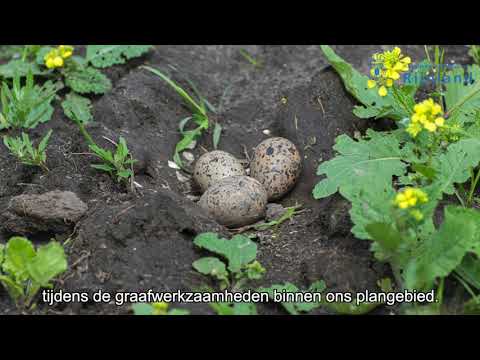 Video: Woodland House Voegt Een Geheel Nieuw Niveau Toe Aan De Natuur