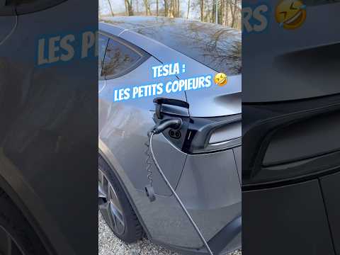 Le truc que presque personne ne connaît pour les bornes non-Tesla #secret #électrique