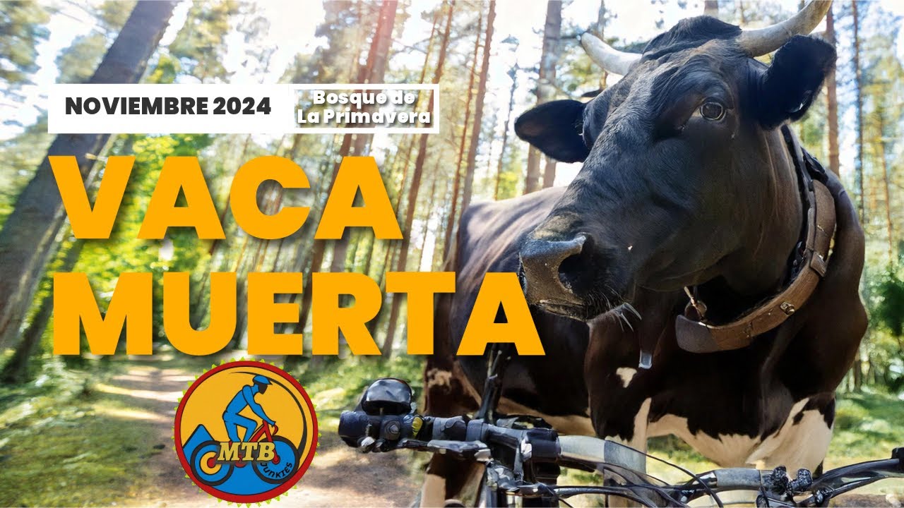 Noviembre en Bosque de la Primavera: ¡Recorriendo Vaca Muerta a Toda Velocidad!