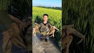 The Most Useful Creature Youve Ever Eaten