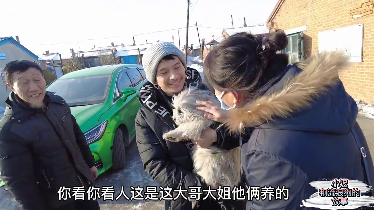 20210101 －Dog rescue in China 村庄里无家可歸的流浪狗，被好心人照顾，接走了流出不舍的淚光 YouTube