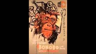 Bonobo  - Noctuary (Live in Budapest 2007)