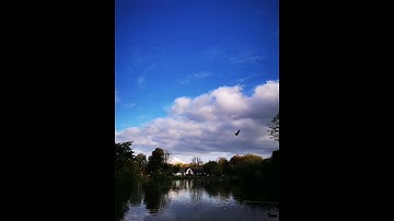 تلاوة خاشعة(فَسَبِّحْ بِاسْمِ رَبِّكَ الْعَظِيمِ) الشيخ نبيل الرفاعي
