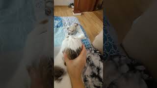Василий!