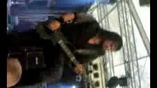 Vreid - Hengebjørki
