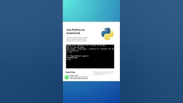 ✅ Usando Python desde la terminal 💻