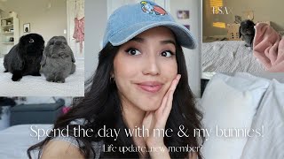 Spend the day with me & my bunnies| Life update, packages, new member?🐰🤍 by Dumbo and Bear 582 views 1 year ago 7 minutes, 48 seconds
