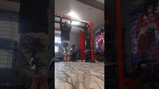 Day 2 of trying to do a Back lever