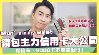 GOGO卡、幣倍卡絕不帶出門！25張卡片使用原則分享！花1萬多買精品皮夾？錢包主力卡片大公開！｜SHIN LI 李勛