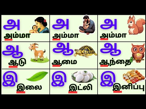 உயிரெழுத்துக்கள்/Uyireluthukkal/அஆஇஈ/Tamil Alphabets for kids @PEEKABOO-ff8wq #uyireluthukkal