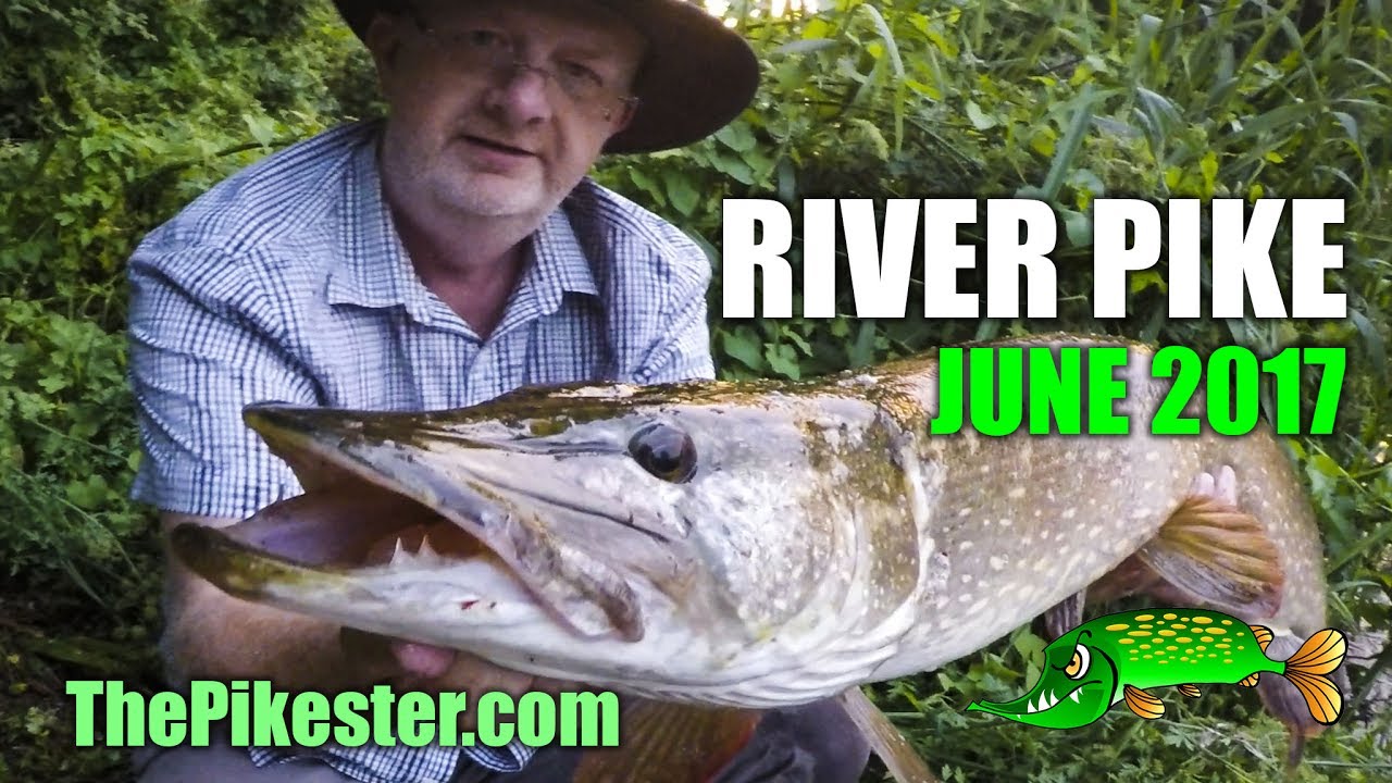 River Pike Fishing YouTube