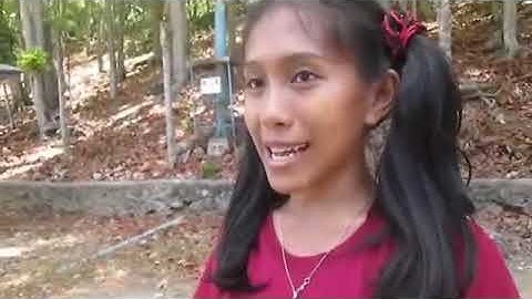 Facilitating learner centered teaching