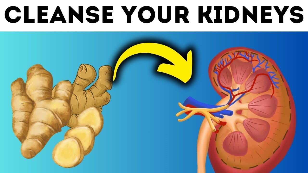 10 Foods To DETOX and CLEANSE Your Kidneys Naturally (YOU NEVER KNOW ...
