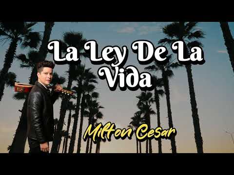 La Ley De La Vida - Milton Cesar | Lyric Video | Salsa
