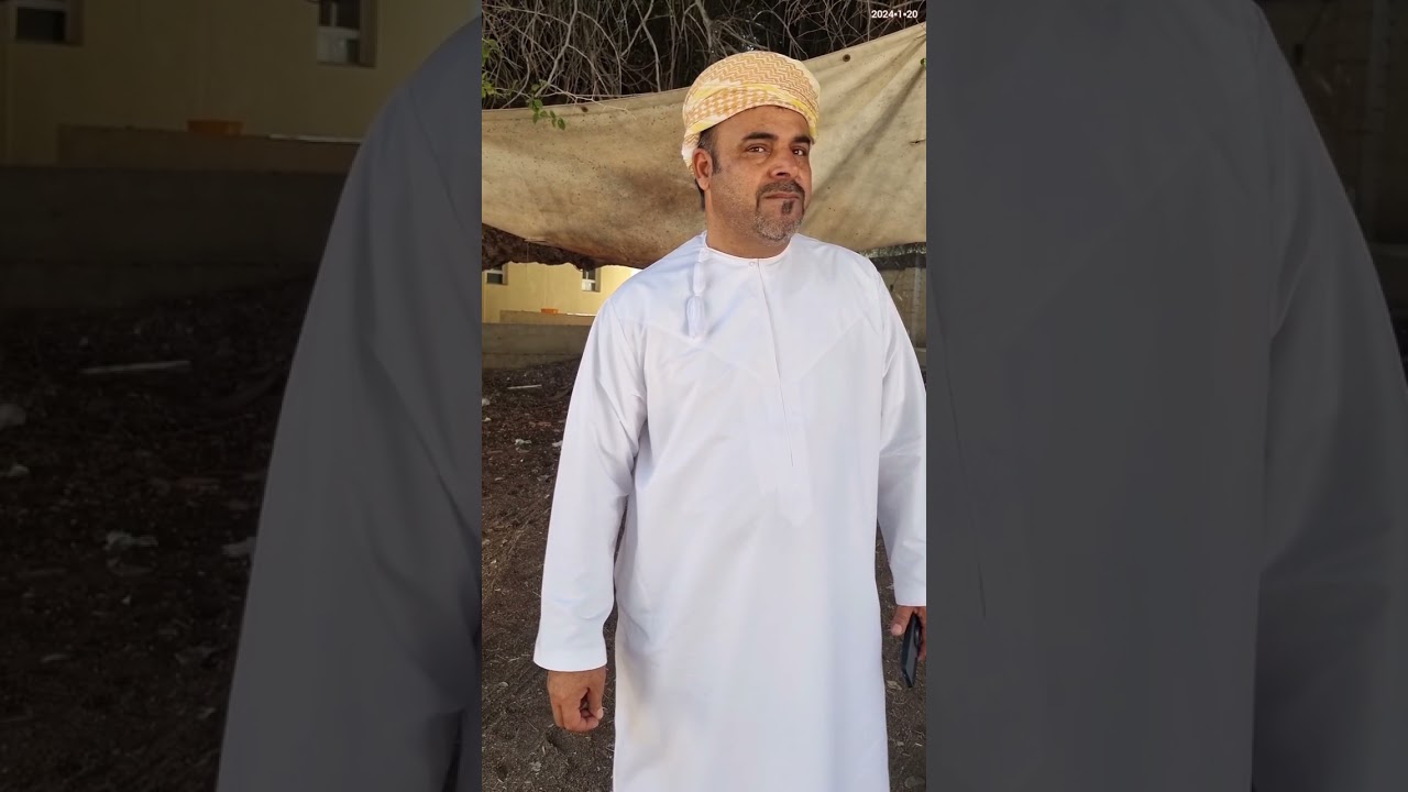 سدرة معمرة يقارب عمرها نصف قرن موجودة في ولاية ينقل سلطنة عمان