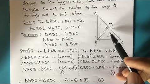 Similarity and Right angled triangle | Geometry | 10th Std Maharashtra Board