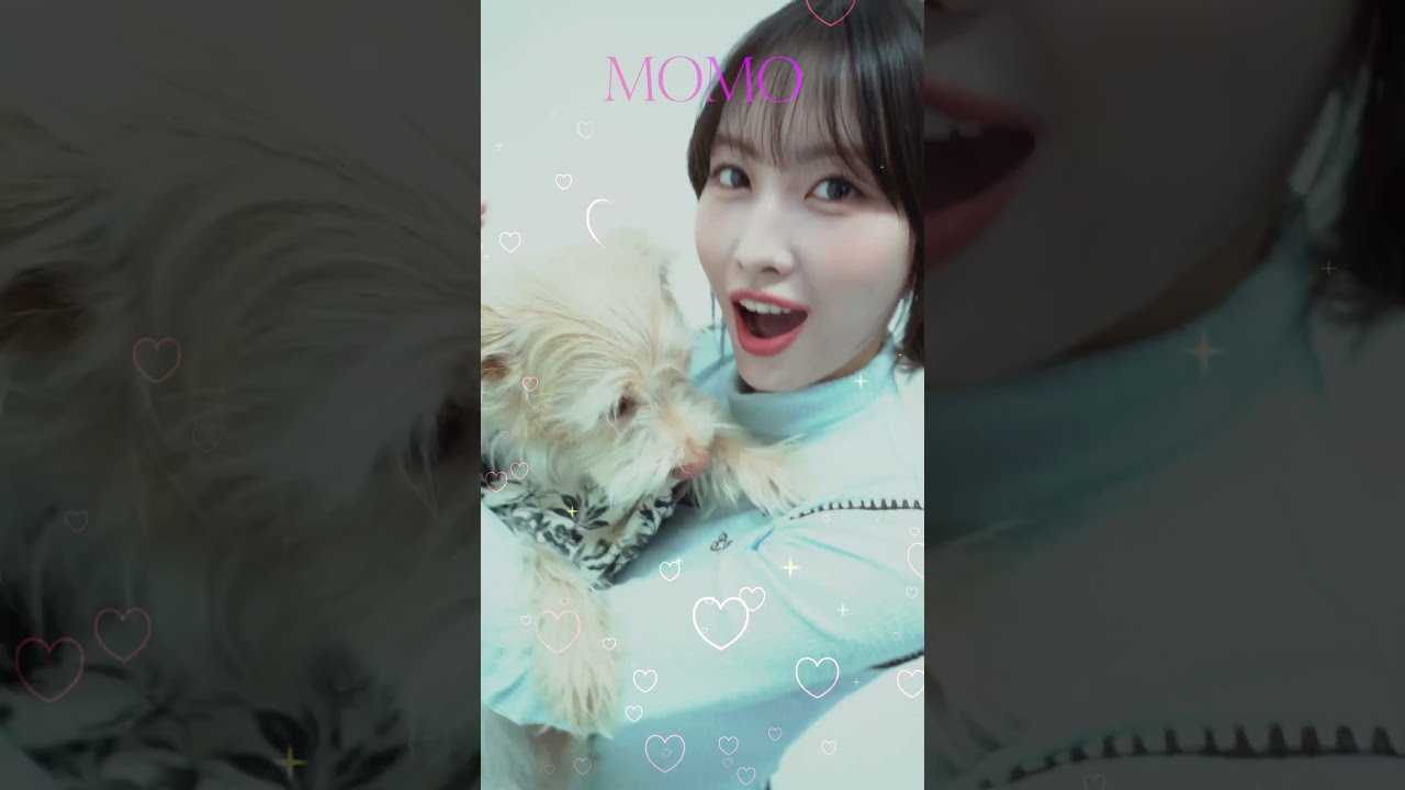 TWICE モモ　モブリー TWICE モモ モブリー Summer - メルカリ