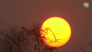Suprabhatham with Swami's Beautiful Video screenshot 3