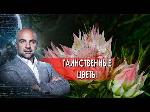 Таинственные цветы. "Как устроен мир" с Тимофеем Баженовым. (24.09.2021)