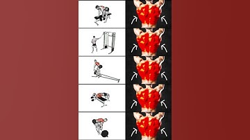 Top Lat Pulldown Alternatives: Best Exercises for a Stronger Back!