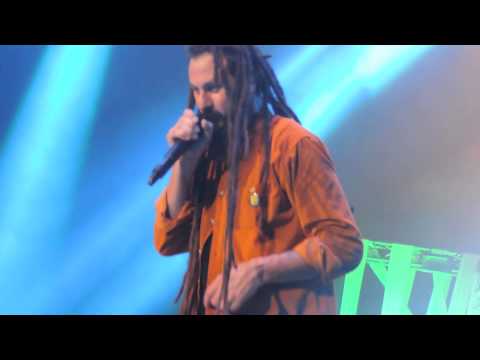 Grita lo que sientes (Luna Park 17.5.14 Luna Park) NONPALIDECE