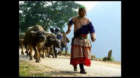 Chợ phiên Cán Cấu - Simacai - Lào Cai - Vietnam