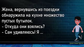 💎Девушка Пришла К Гадалке...Сборник Новых ,Смешных До Слёз Анекдотов,Для Супер Настроения!