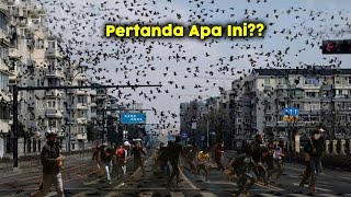 Ribuan Burung Hitam Misterius Mendadak Penuhi Ibu Kota,Warga Sampai Lari Ketakutan! Kenapa ini?