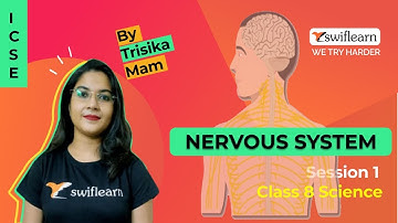 Nervous System | ICSE Class 8 | Structure of Neuron | Biology Online Class | Session 3 - Swiflearn