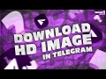 How to download images using telegram 