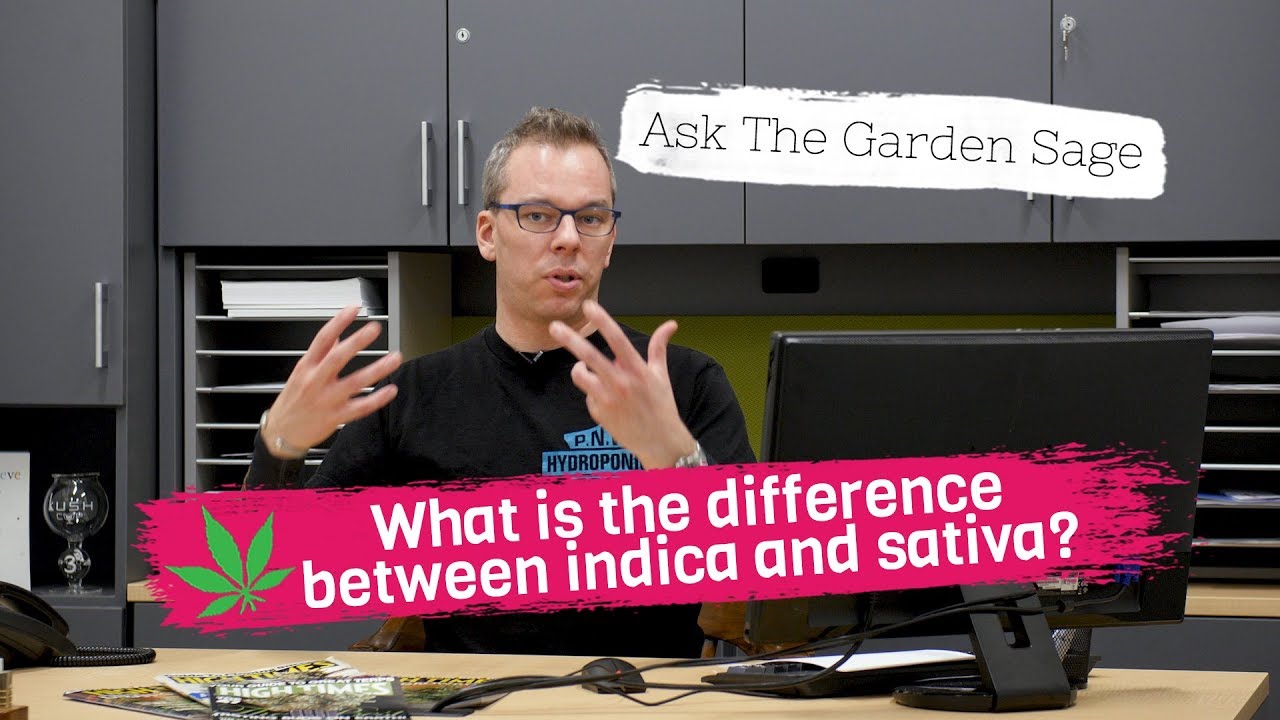 What is the difference between indica and sativa? - Ask the Garden Sage