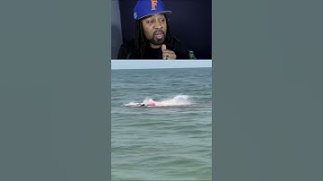 This Is Why You NEVER Ignore Shark Warnings...