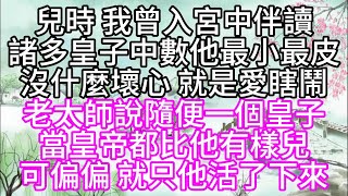 兒時，我曾入宮中伴讀，諸多皇子中，數他最小最皮，沒什麼壞心，就是愛瞎鬧，老太師說，隨便一個皇子當皇帝，都比他有樣兒，可偏偏，就只他活了下來【幸福人生】