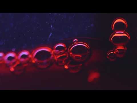 Stranged That Egg Yolk Video