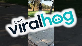 Baby Over Estimates Distance to Curb || ViralHog