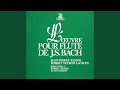 Miniature de la vidéo de la chanson Flute Sonata In E Minor, Bwv 1034: Iii. Andante