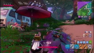 Clips medianamente graciosos de Fornite !!