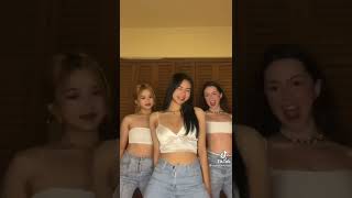 Must See Tiktok Girl Challenge Tik Tok Fyp Dance Viral